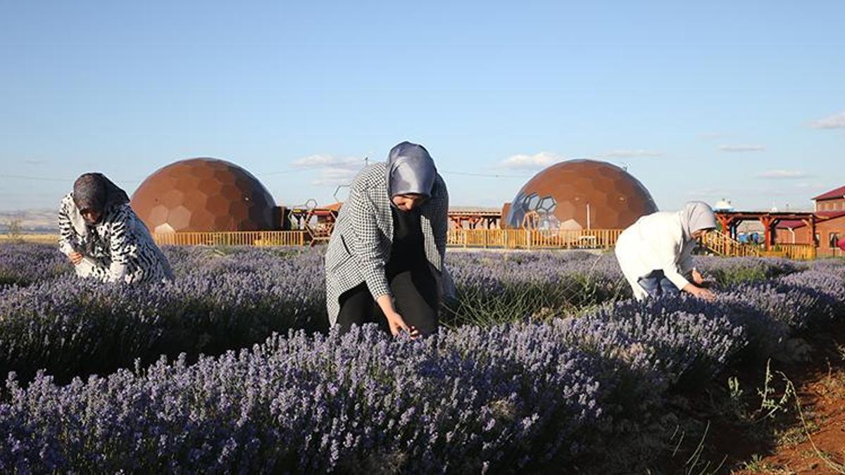 Türkiye'nin en büyüğü, sadece 7 kadın üretti! Tek sözüyle şehir harekete geçti, 81 il sıra bekliyor