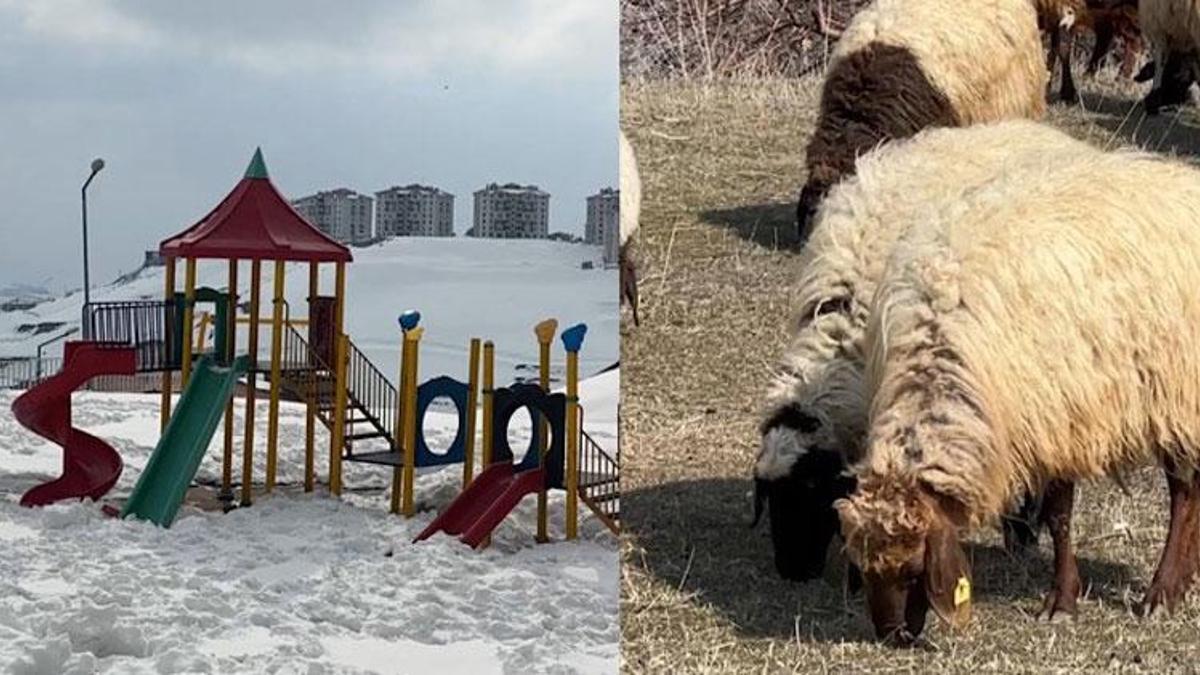 40 kilometre arayla iki mevsim: Yüksekova'da son 10 yılın en çetin kışı, Esendere'de bahar havası