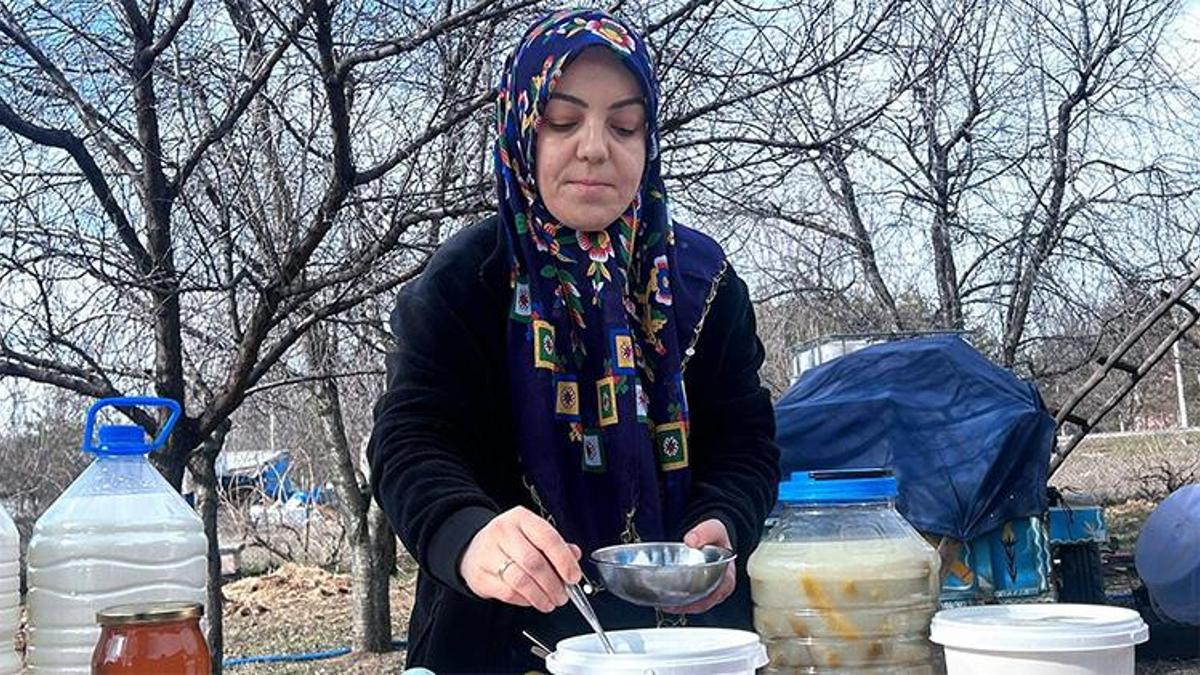 Şehir hayatından bıktı, 'yapamazsın' diyenlere inat vazgeçmedi! 3 koyunla başladı, şimdi çiftlik sahibi, siparişlere yetişemiyor