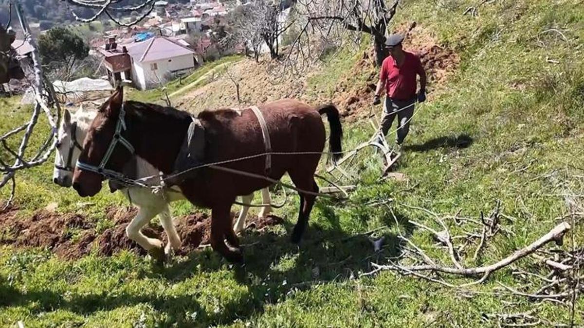 8 bin TL yevmiye veriyorlar ama çalışacak işçi bulamıyorlar! Zahmeti çok, işi yapan servet kazanıyor