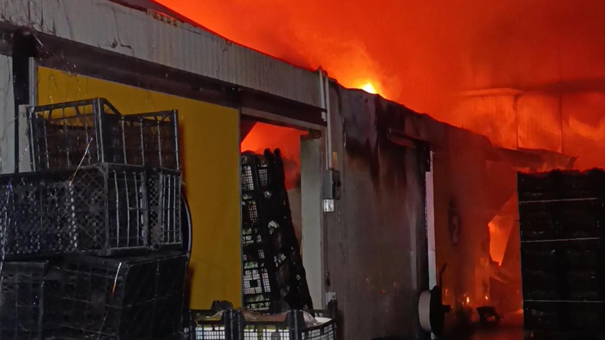 Antalya'da muz paketleme ve sarartma tesisinde yangın