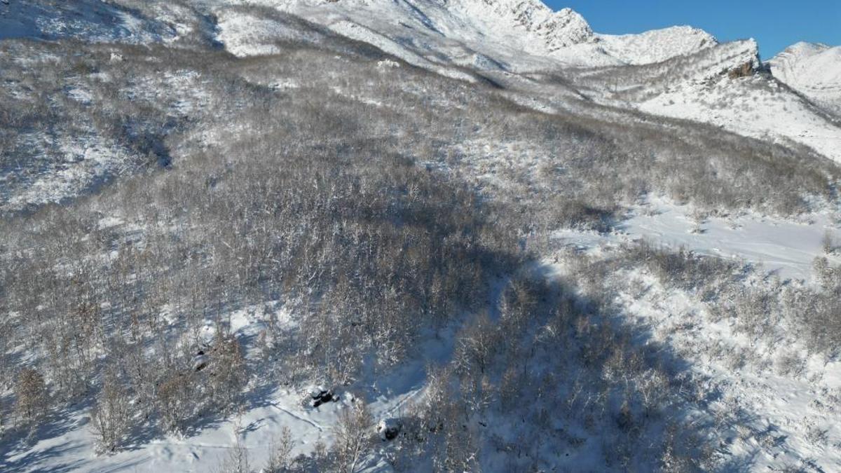 Şırnak'ta kar yağdıktan sonra fark edildi: Herkes oraya koştu