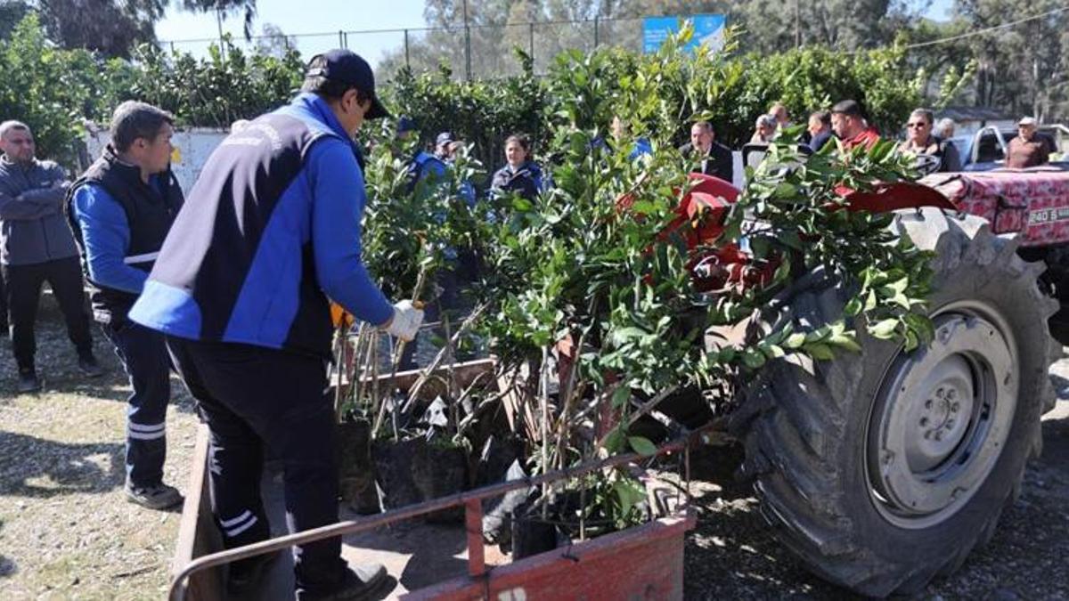 Muğla'da çiftçilere fidan desteği! Üretim yeniden başlıyor
