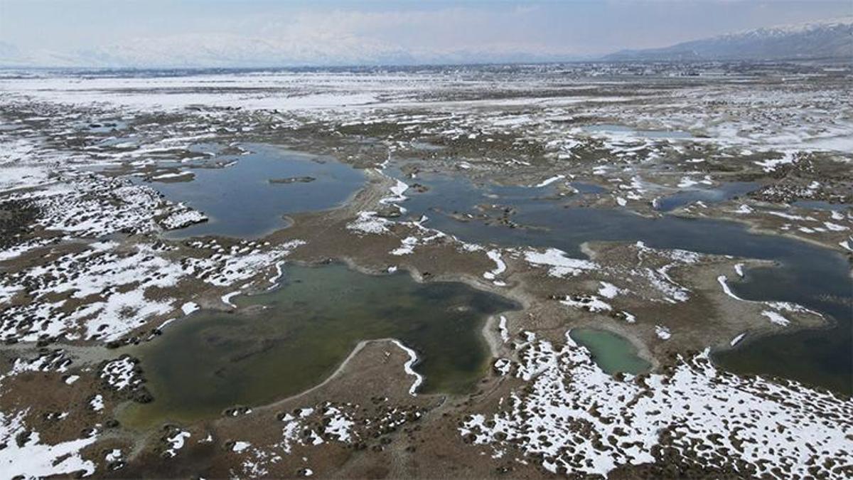Erzincan'da görsel şölen: Ekşisu Kuş Cenneti büyülüyor