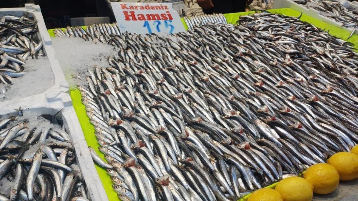 Hava soğudu hamsi geri döndü! Kilogram fiyatı düştü