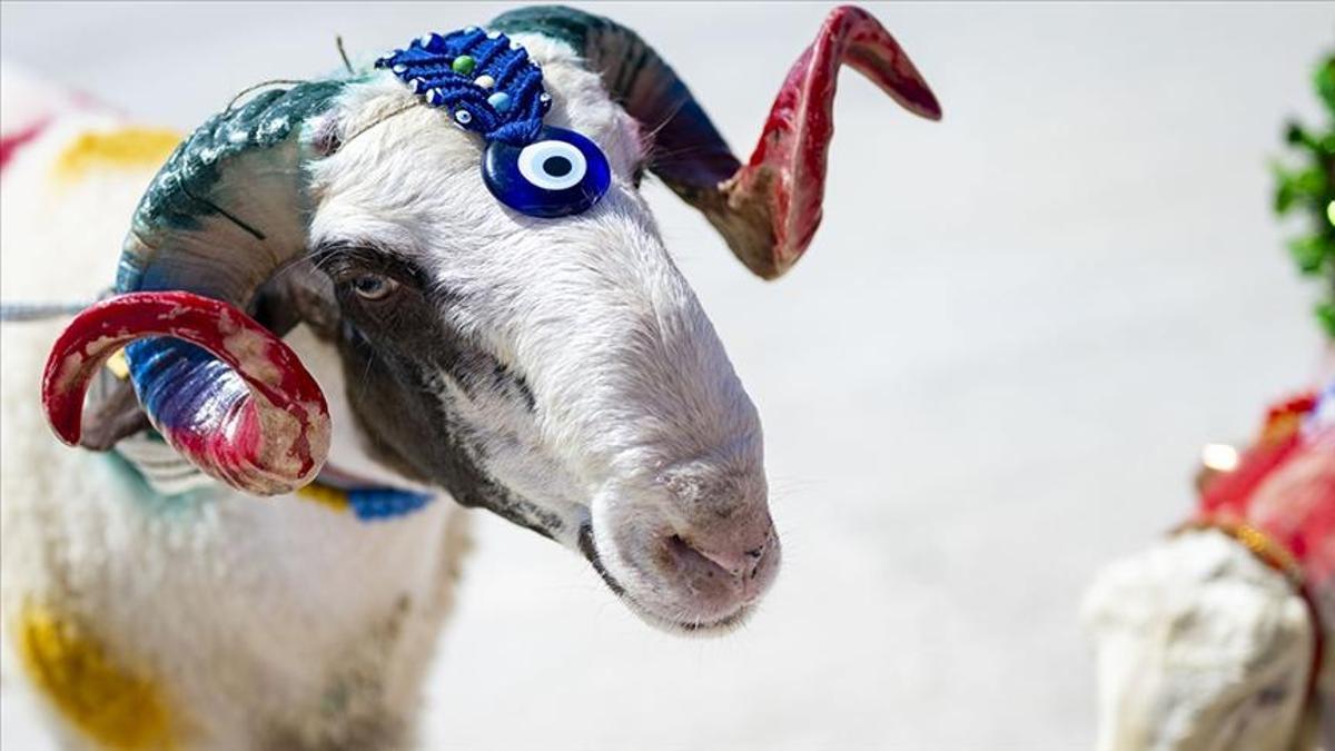 Kurban Bayramı Ne Zaman? 2026'daki Kurban Bayramı'…