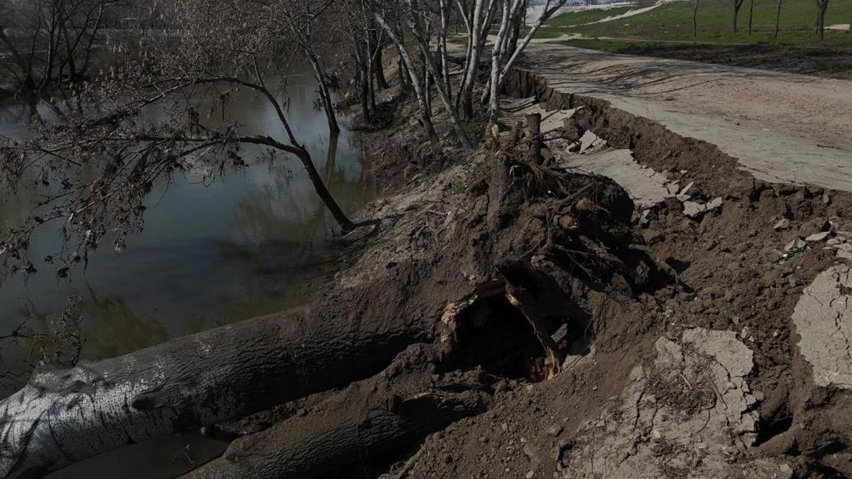 Tunca Nehri kıyısında toprak kayması! 50 metrelik alanda çatlaklar oluştu