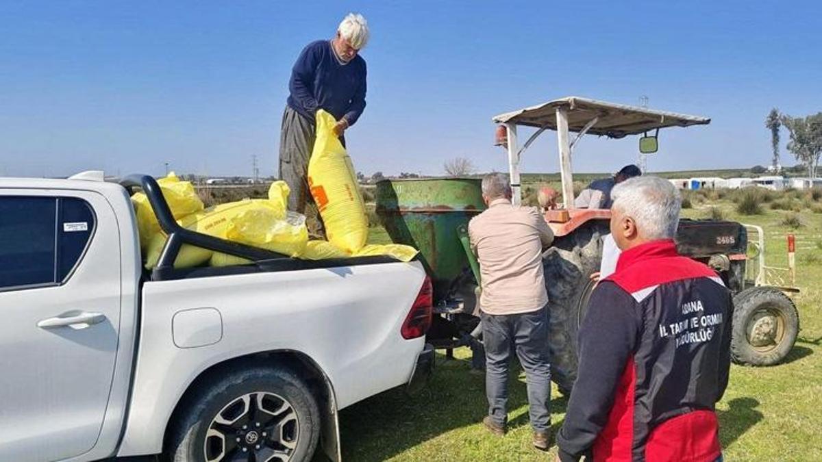Adana’da hayvancılığa can suyu! 2 bin dekar mera gübreyle yenileniyor
