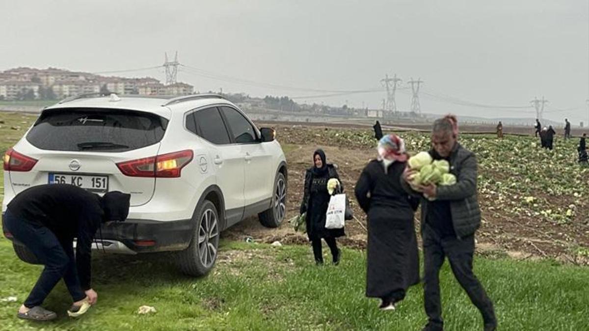 Duyan tarlaya akın etti! Batmanlı çiftçi çareyi bedava dağıtmakta buldu