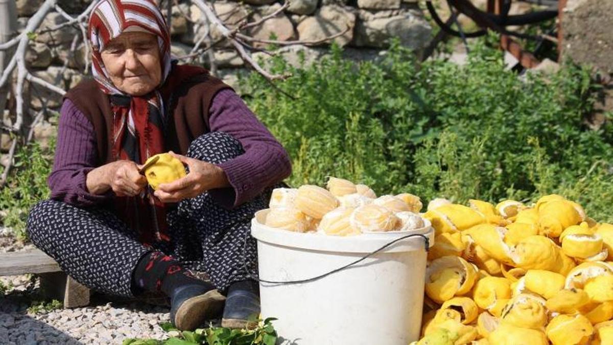Dalında kalan o meyvenin kabuğu para basıyor! Bahçeden toplayıp soyuyorlar: Kilosu 65 TL'den satılıyor