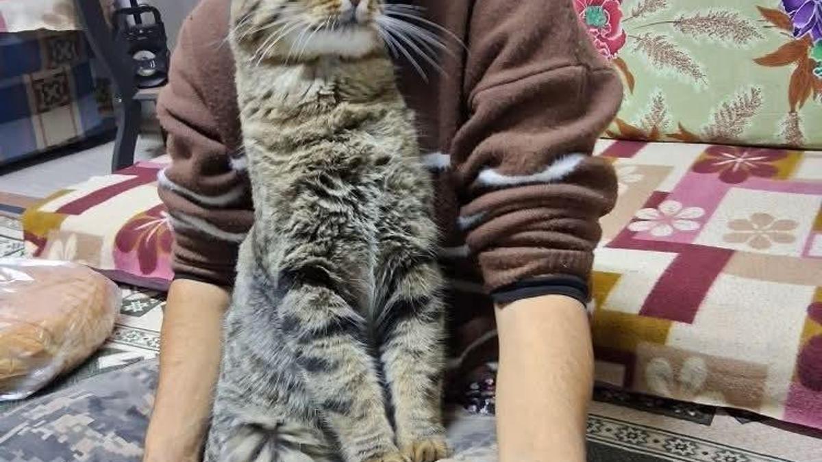 Yeğenini bıçaklayıp öldürdü, araya giren kardeşi ile damadını ağır yaraladı