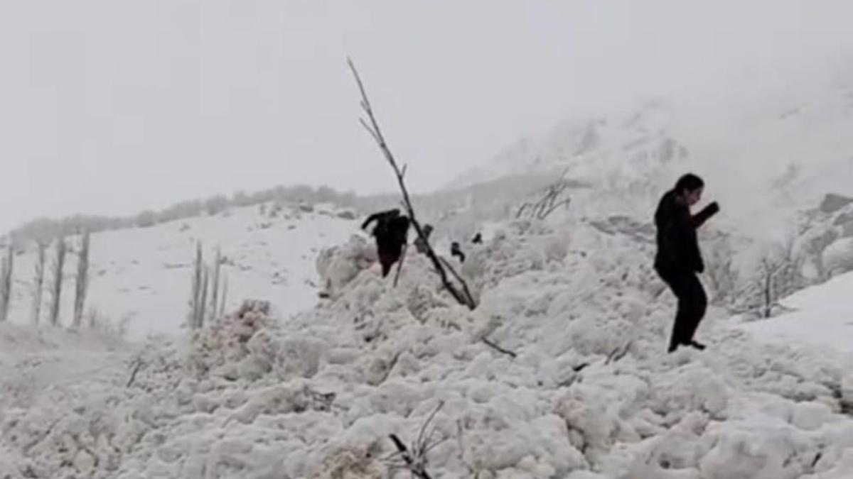 Hakkari’de aynı bölgede ikinci çığ!