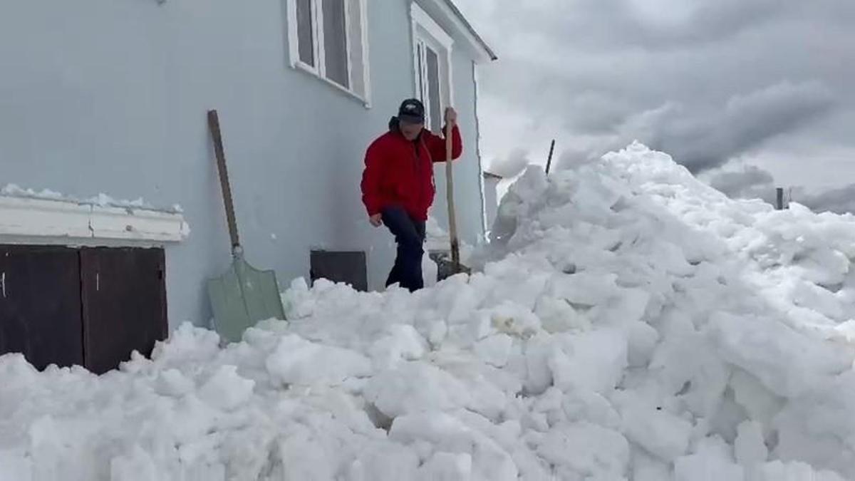 İlginç olay! Ayılar akıllandı, kapıdan değil pencereden girdi