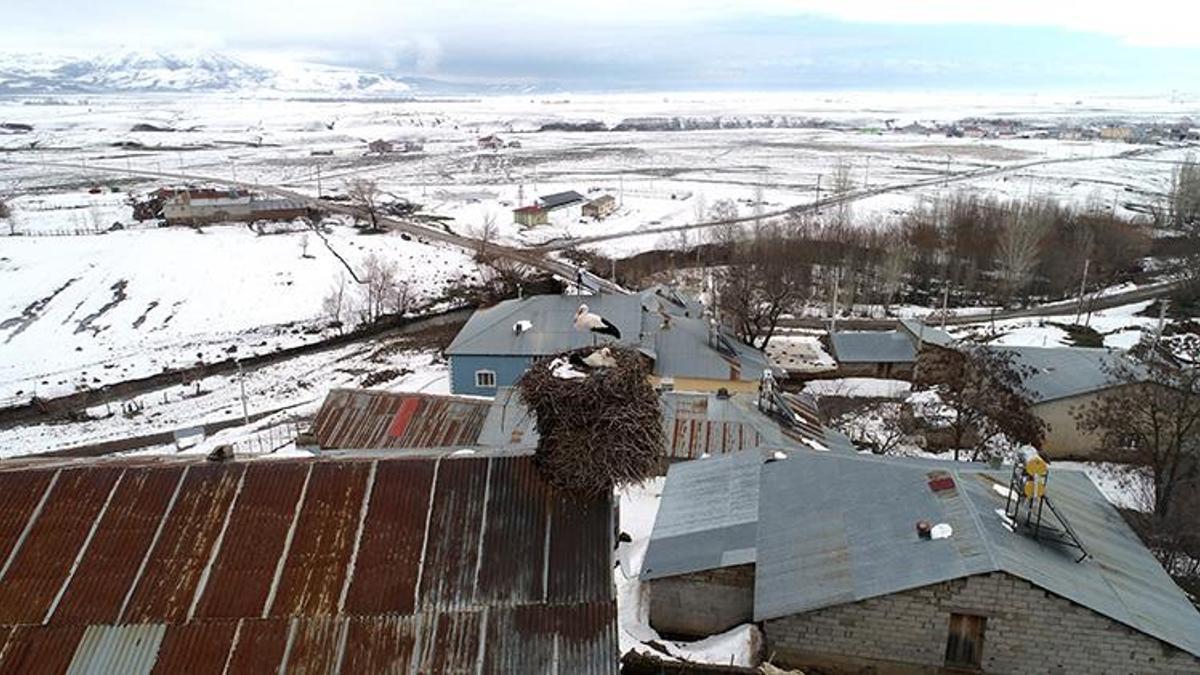 Muş'ta 44 yıldır aynı çatıya konuyorlar! Şubat'ta geldiler baharı bile beklemediler