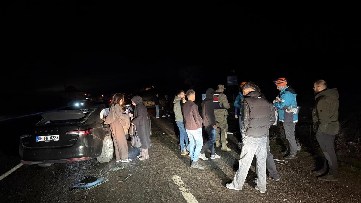 Bingöl’de otomobil ata çarptı: 4 yaralı