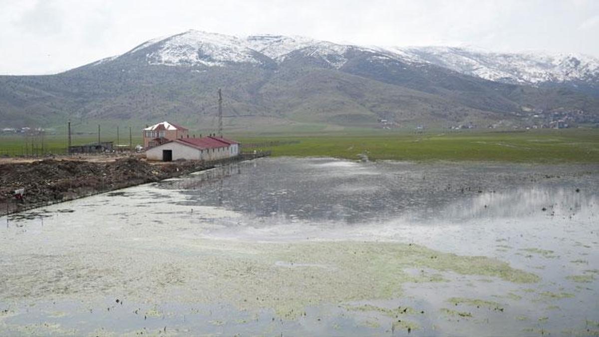 Muş Ovası’nda karlar eridi çiftçiler zor durumda kaldı: Tarım arazileri sular altında kaldı göletler oluştu