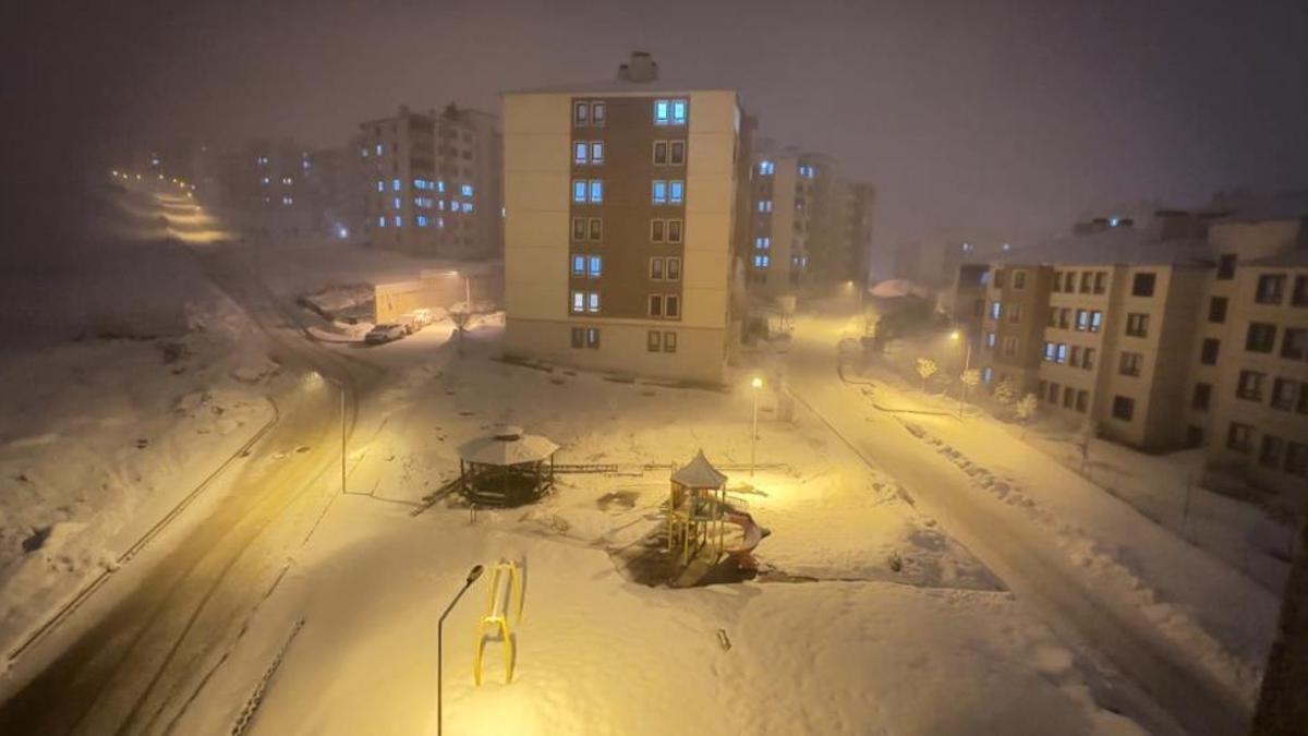 Yüksekova'da kar yağışı etkili oldu
