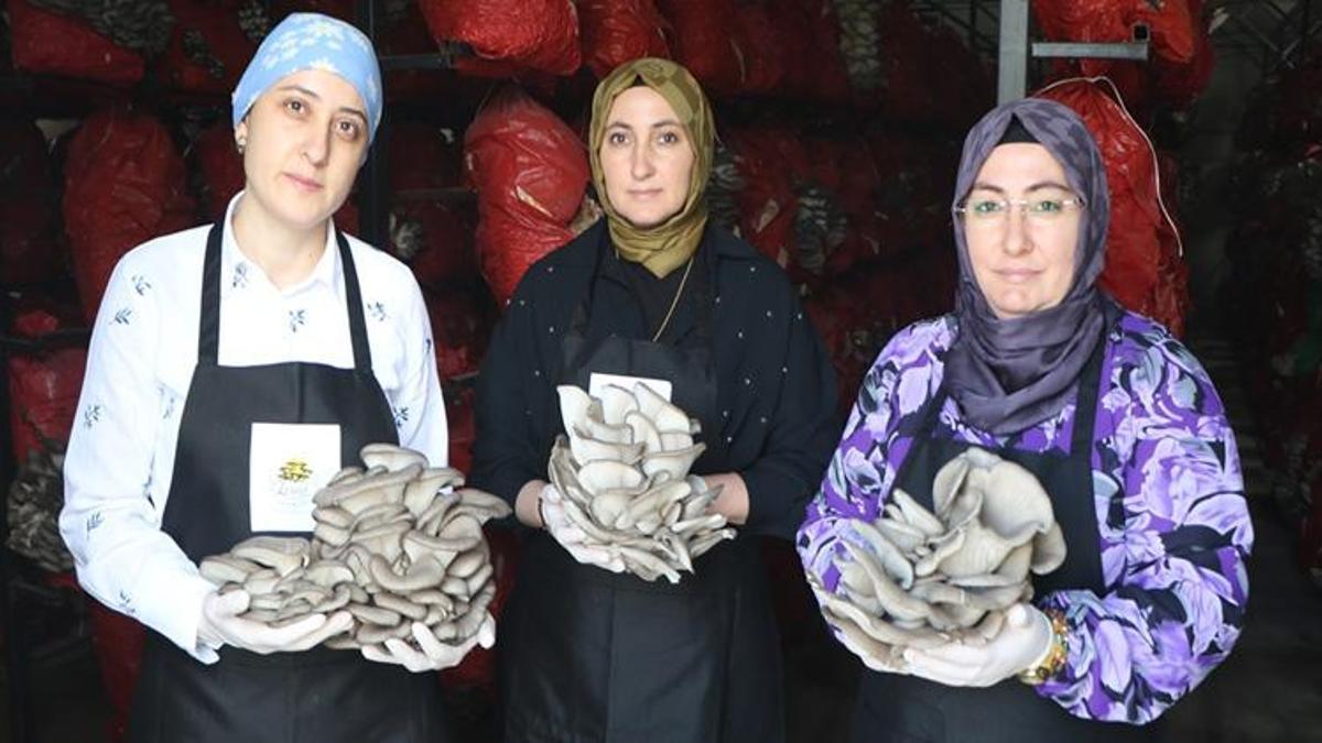 İşinden istifa edip çadırda servet değerinde üretime başladı! Şimdi talebe yetişemiyorlar