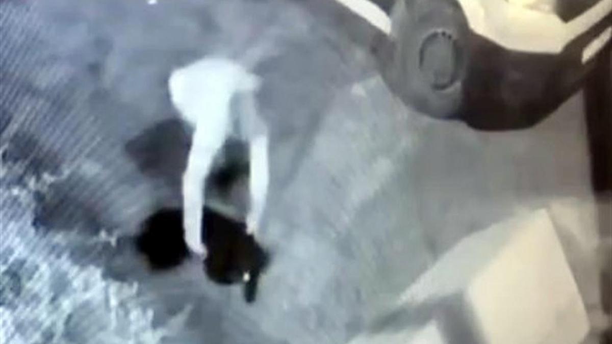 Avcılar'ın maskotu Garip kulübesinden kaçırıldı!