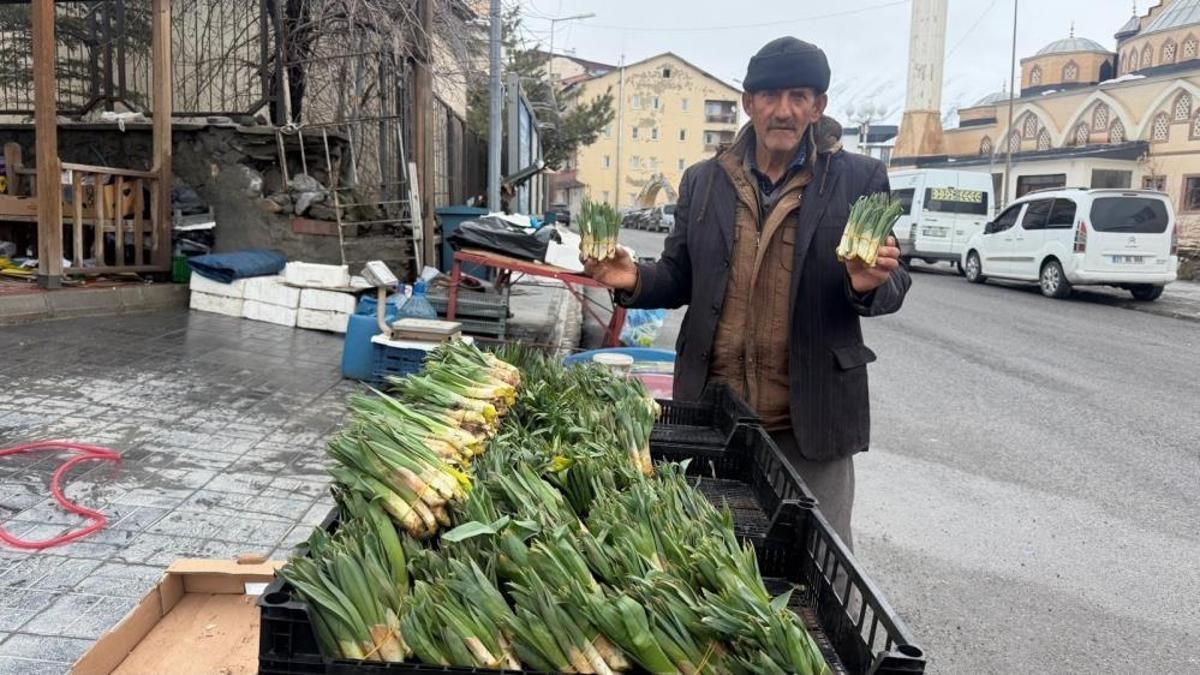 Hakkari'de bu yıl ilk kez görüldü: Bölge halkı ismine Sıterk diyor!