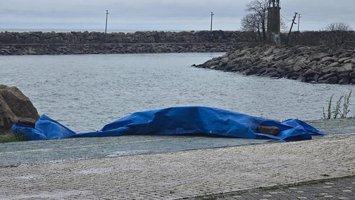 Karadeniz sahillerine vuran insansız araçlar bitmiyor! Şimdi de Ordu'da ortaya çıktı