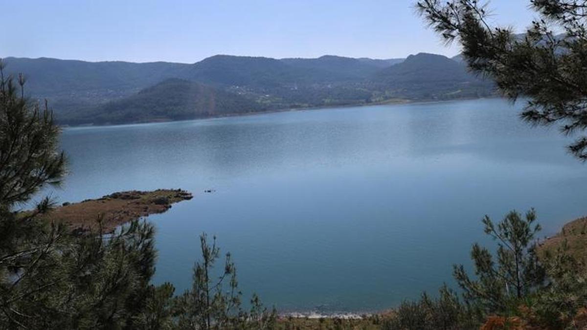 Aşırı yağışlar narenciyeyi vurdu: Baraj doldu ama bahçelerde mesai başladı