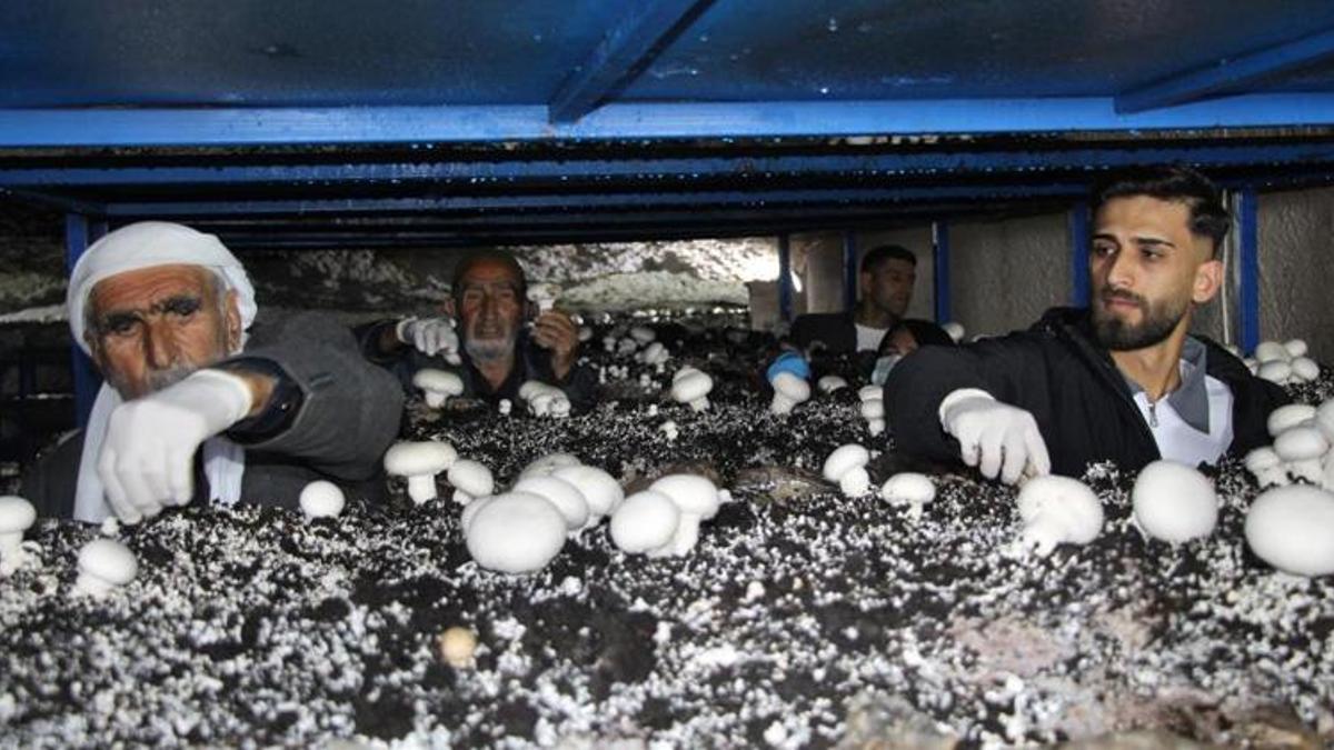 2 bin yıllık mağarada adeta para basıyorlar: Kendi imkanlarıyla kurdular, şimdi talebe yetişemiyorlar