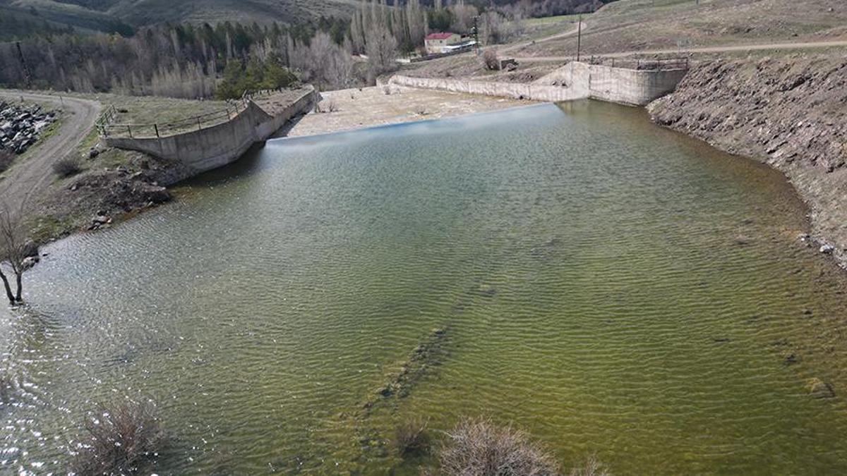 Sivas'tan güzel haber geldi! Aylar sonra yüzde 100'e ulaştı