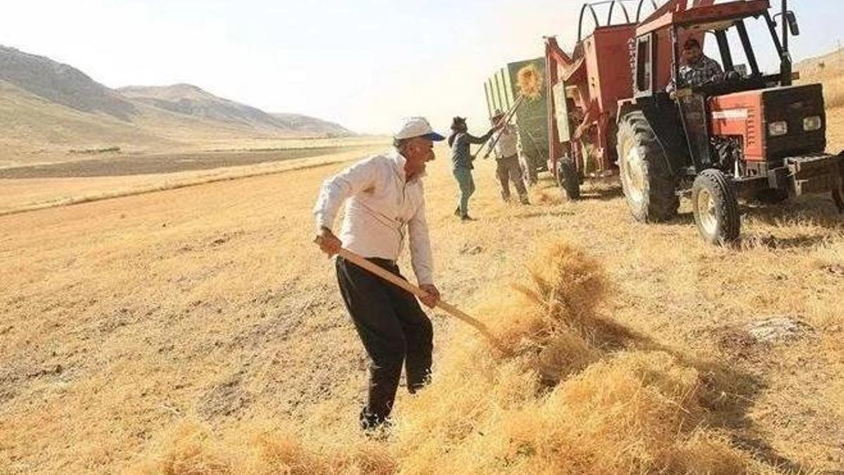 Analya'da son tarih 15 Nisan: Başvuru sonrası ödemeler yatıyor