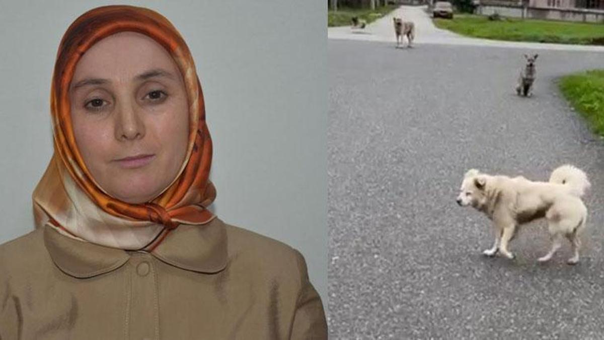 Can korkusuyla aldı, işsizliğe sebep oldu