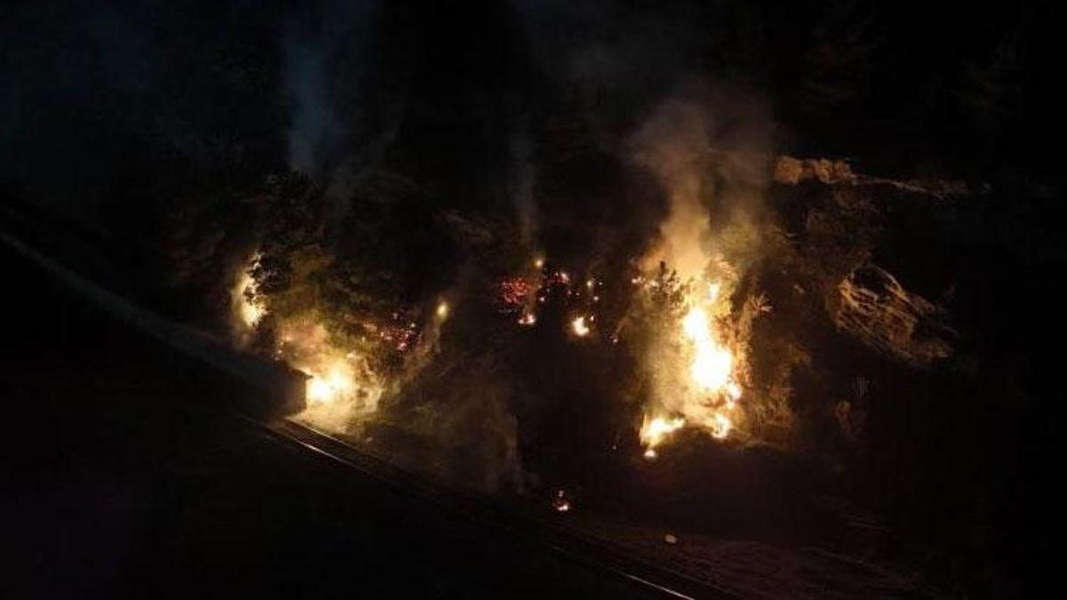 Ormanlık alanda çıkan örtü yangını söndürüldü