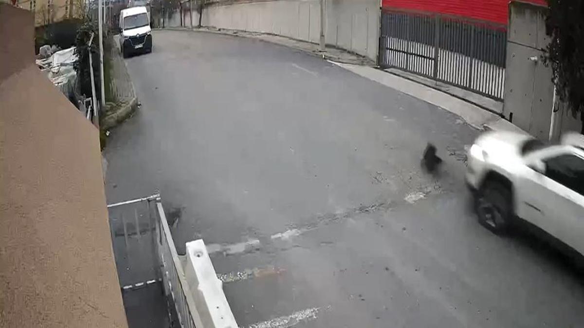 Avcılar'da acımasız görüntü: Köpeği ezip geçti