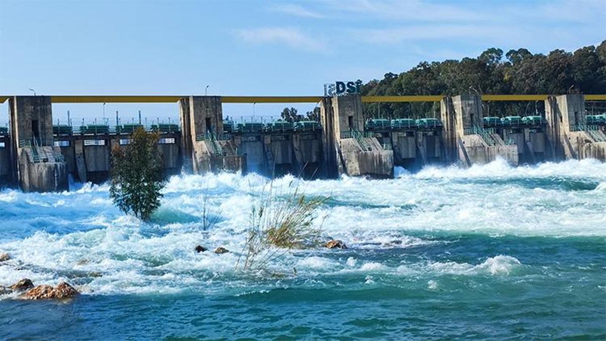 Baraj kapakları açıldı, Seyhan Nehri çağladı: Ortaya bu görüntüler çıktı