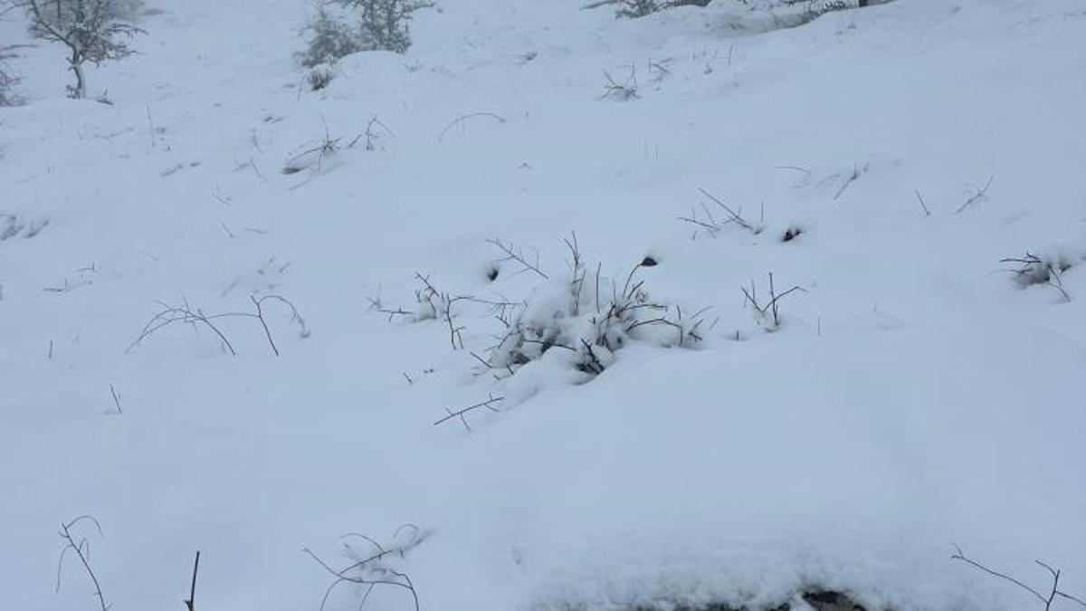 Aydın'da sürpriz kar: Bozdoğan beyaza büründü