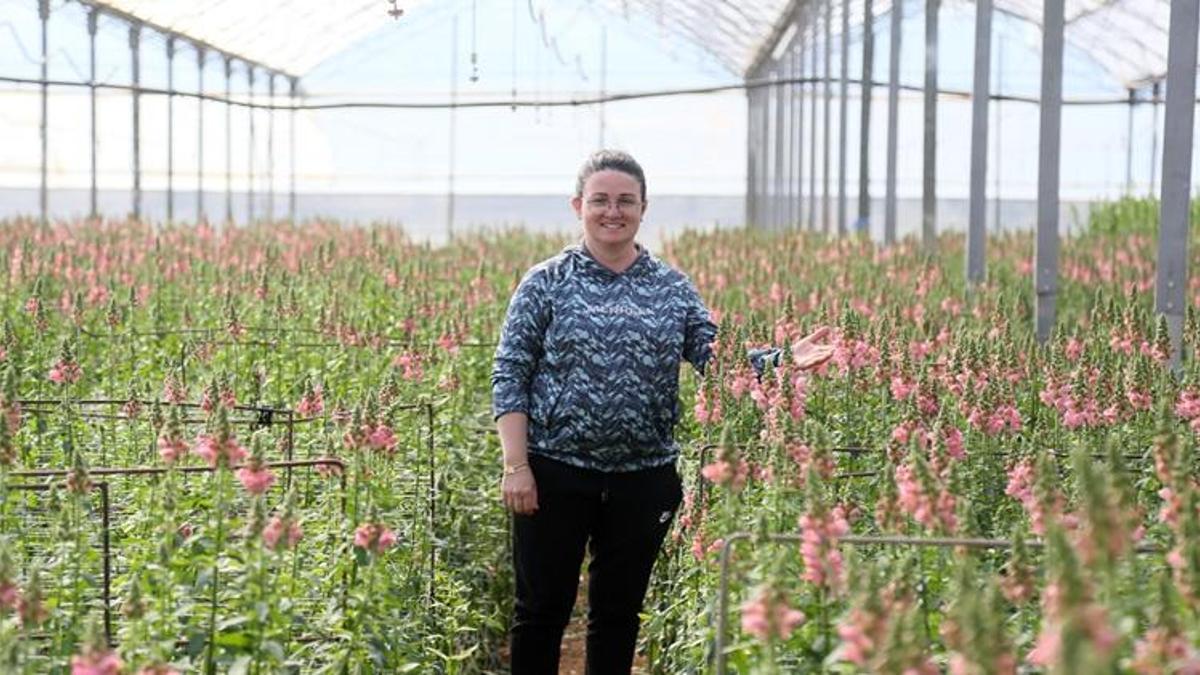 Antalya'da ilk kez üretildi, talebe yetişilemiyor! Avrupa bu çiçeğin peşinde