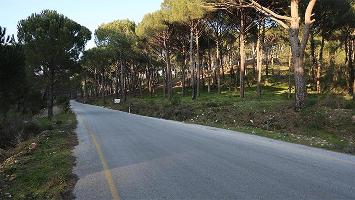 Kilosu 3 bin TL! Aydın'da hırsızlık alarmı, üreticiden kameralı önlem