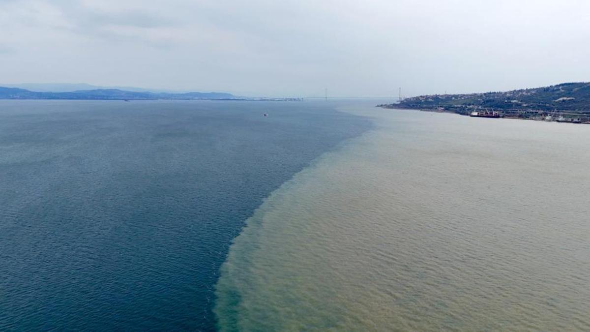 İzmit Körfezi iki renk oldu! Derenin taşıdığı çamur denizin rengini değiştirdi