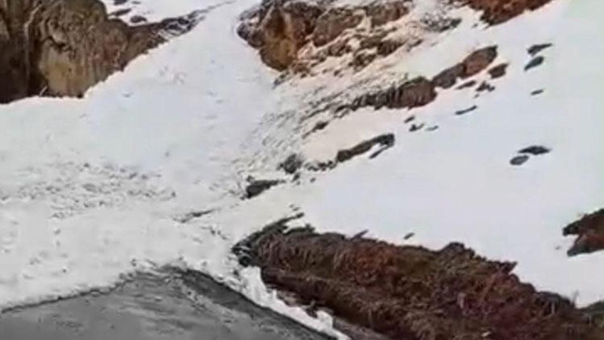 Şırnak Uludere’de çığ düşen kara yolu ulaşıma kapandı