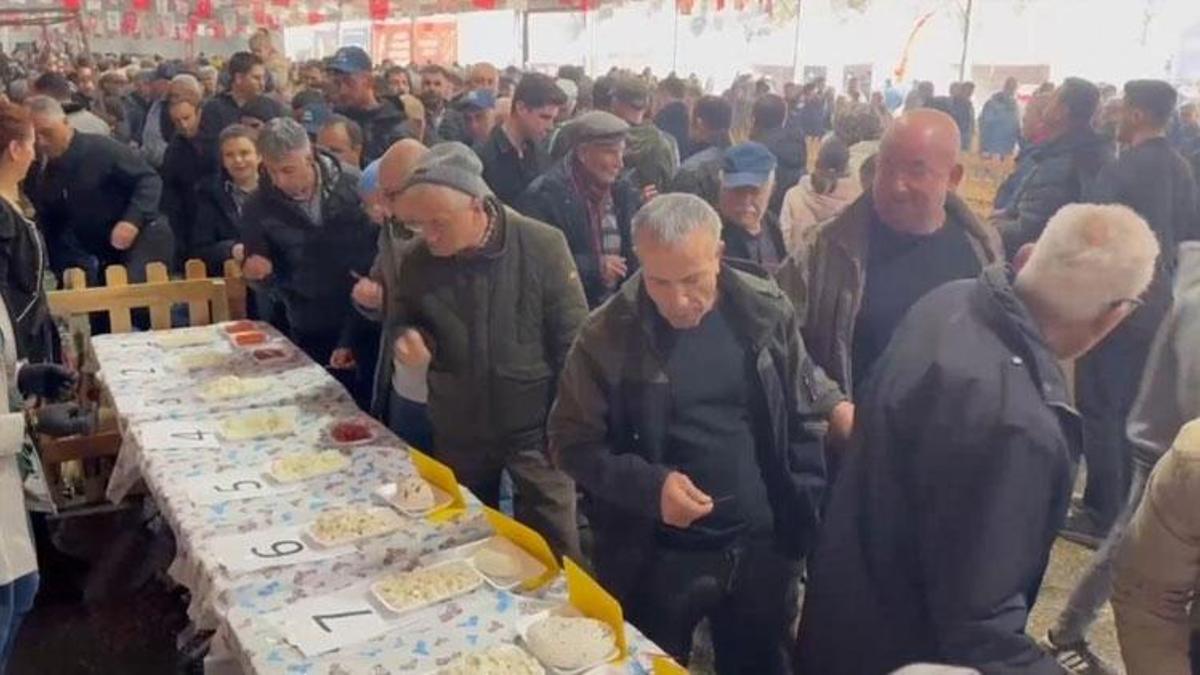 Tekirdağ'da halk jüri oldu, en iyi keçi peynirini vatandaş seçti