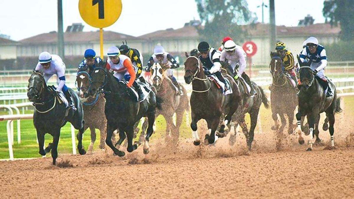Adana’da kazanan ‘Dapper Man’ oldu
