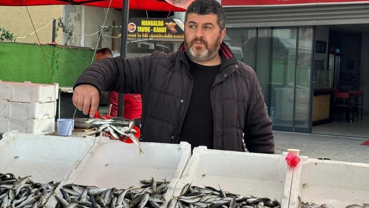 Tezgahlarda istavrit bolluğu! Kilosu 100 liradan satılıyor