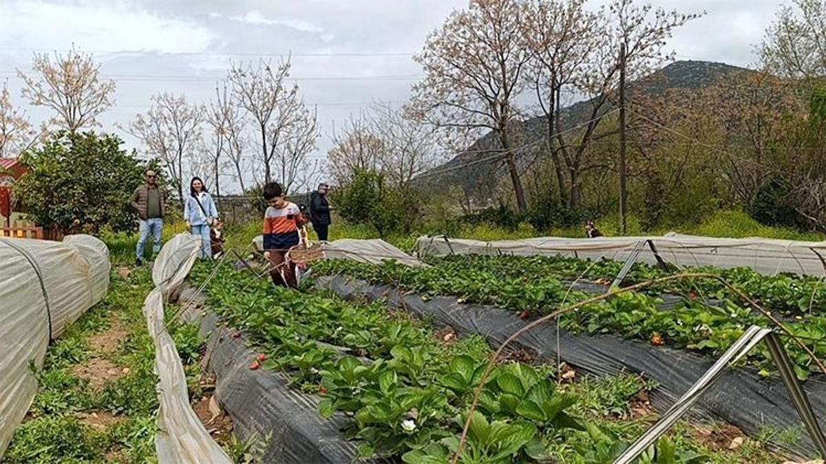 Adana’da alışveriş merkezleri boşaldı: Herkes oraya akın etti