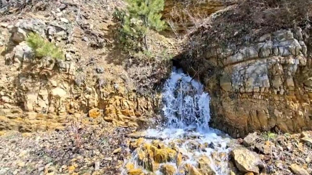 Adana'da depremde kuruyan su kaynağı 3 yıl sonra yeniden akmaya başladı