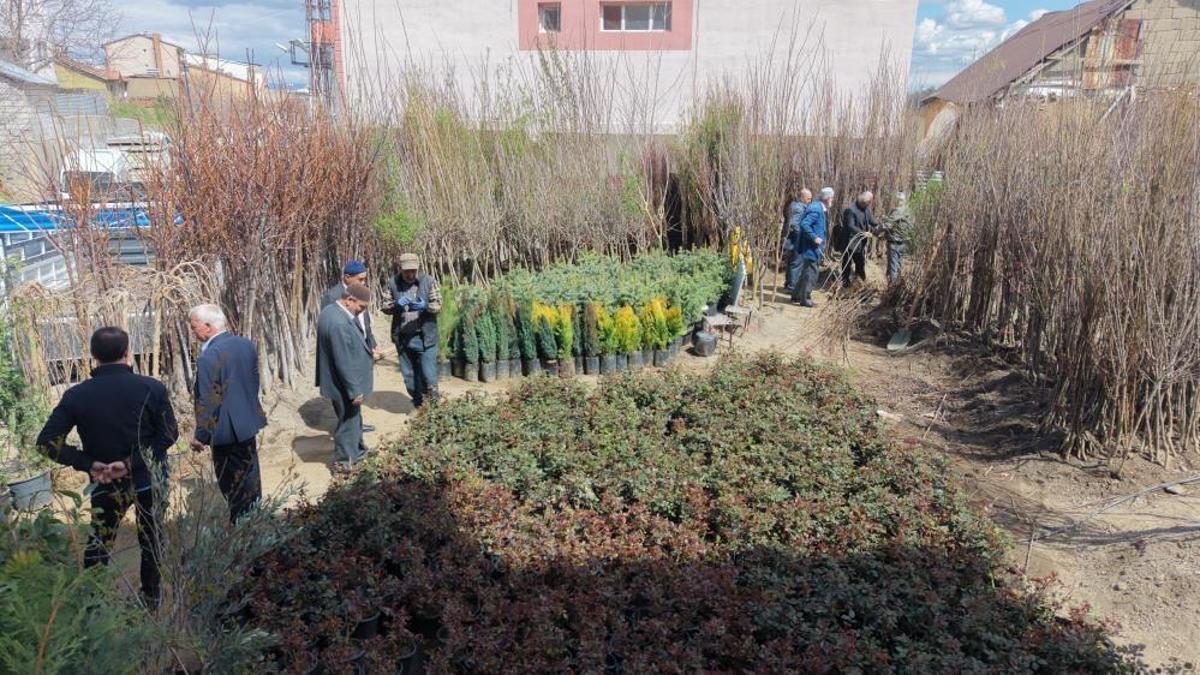 Elmadan kiraza kayısıdan vişneye kadar her çeşit var! Fiyatları 250 liradan başlıyor