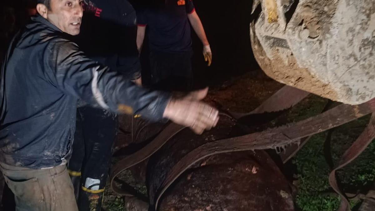 Dicle Nehri’ne düşen inek, iş makinesiyle kurtarıldı