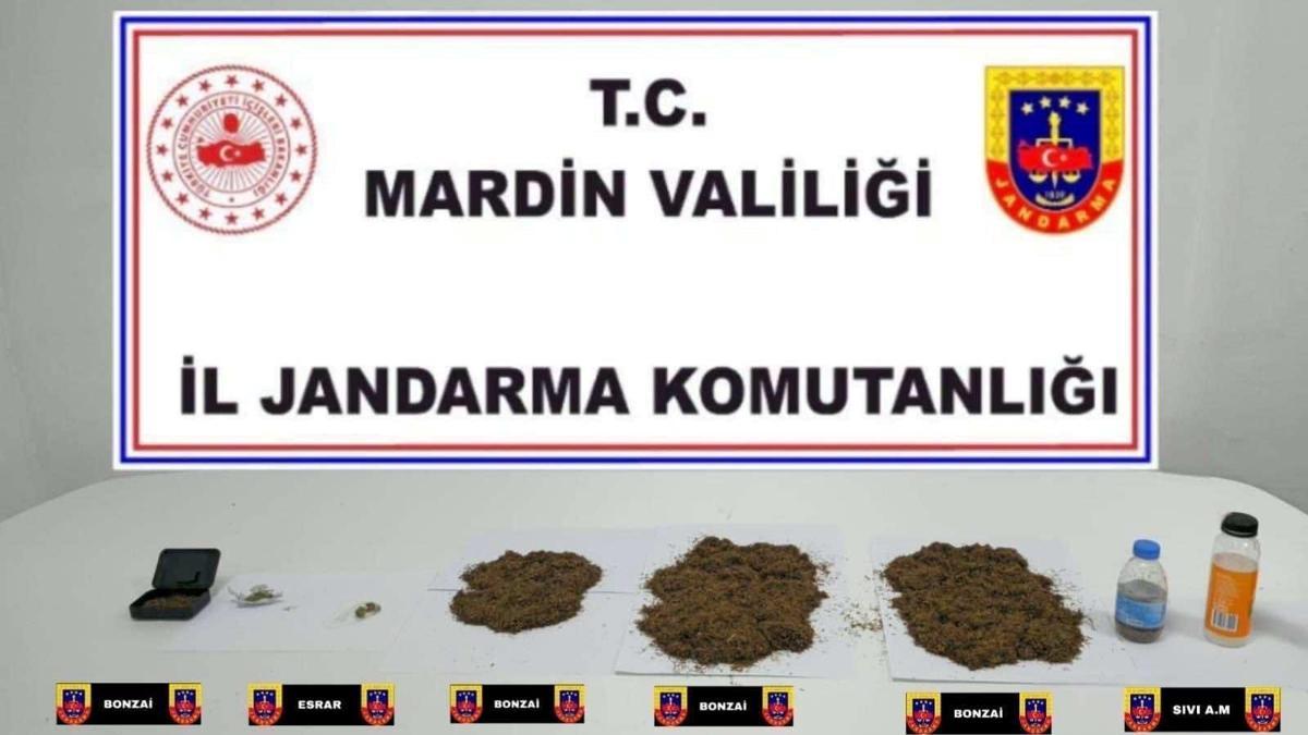 Mardin'de uyuşturucu operasyonunda 1 tutuklama