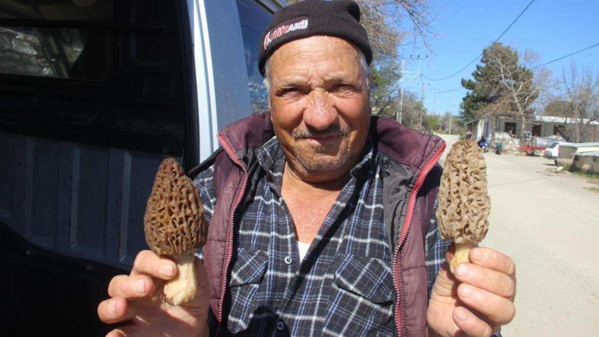 Ekiminde hiçbir masraf yok! Şimdi hasat zamanı, fiyatı bin lira