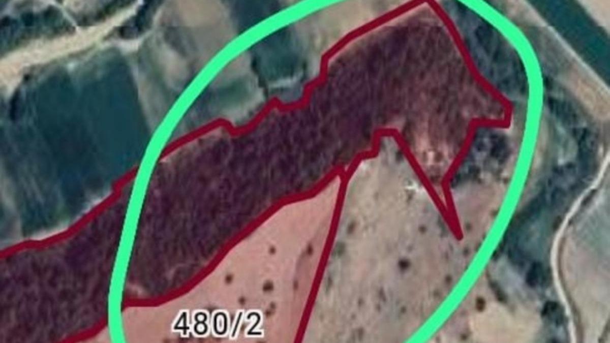 Defineciler bastığı alan hakkında karar çıktı! Denizli'de ilan edildi
