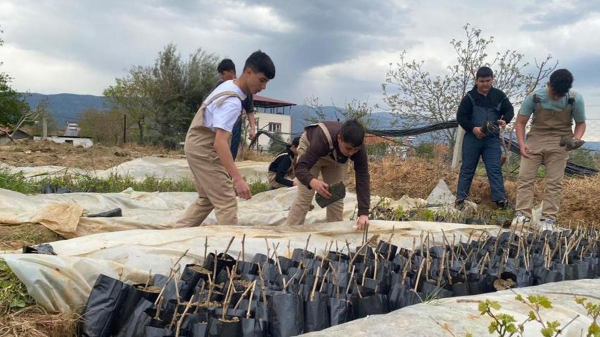 Manisa'da lise öğrencileri başardı! Tam 5 bin tane yaptılar, köylülerin yüzü güldü