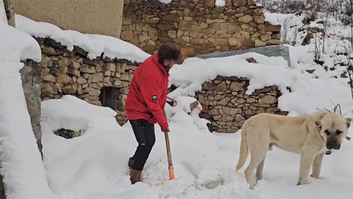 Bahar beklerken kar geldi! Lapa lapa yağdı, Erzincan beyaza büründü